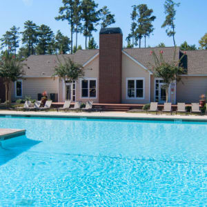 carol roden add amber chase hotel photo