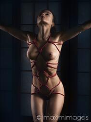 doreen formosa add nude shibari photo