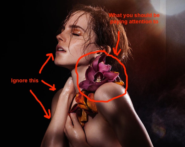 dj estes add emma watson nude in movie photo