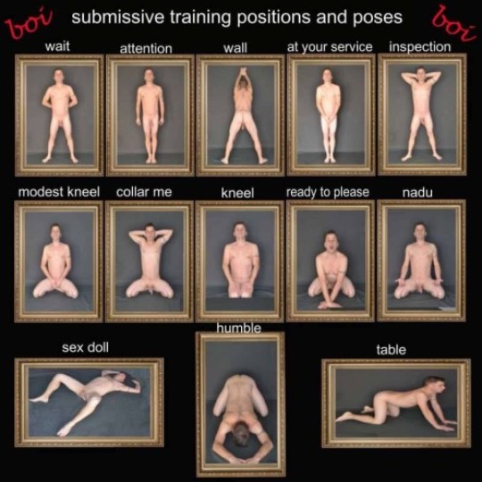 cristina salac add bdsm slave positions photo
