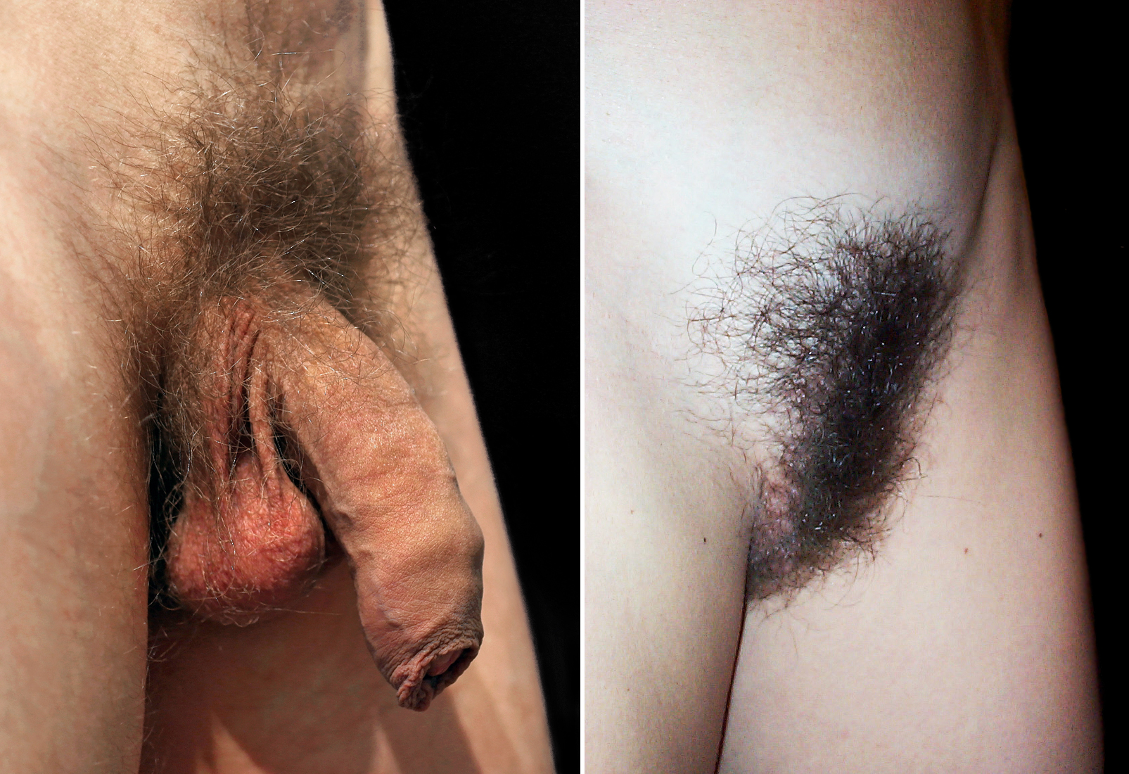 cindy byrnes add hairy bush nude photo