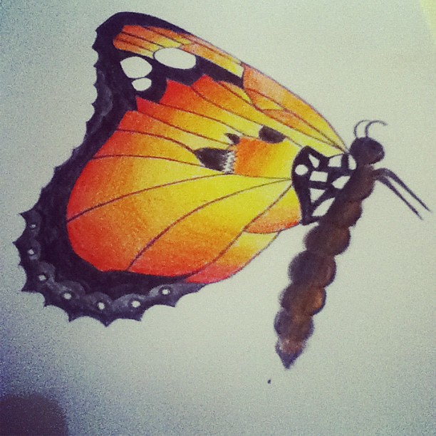 don recardo add drew butterfly photo