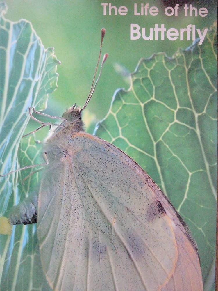 carol farney add drew butterfly photo