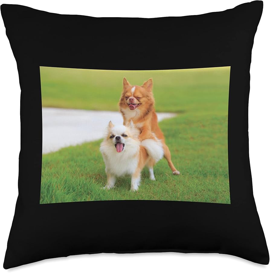 callie ackerman add dry humping pillow image