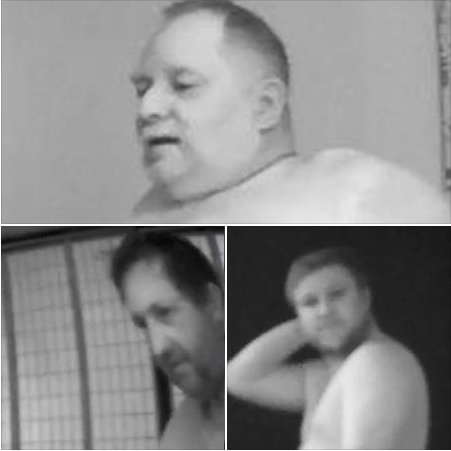 cassandra falk recommends Nozomi hazuki charlie willingham add Emily rinaudo porn videos photo