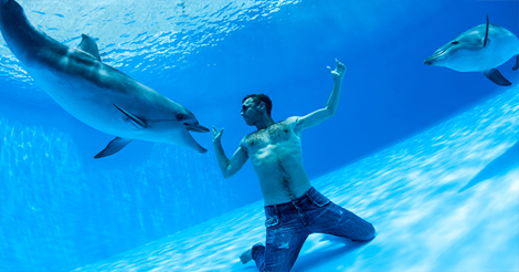 chris braido add man fucks dolphin image