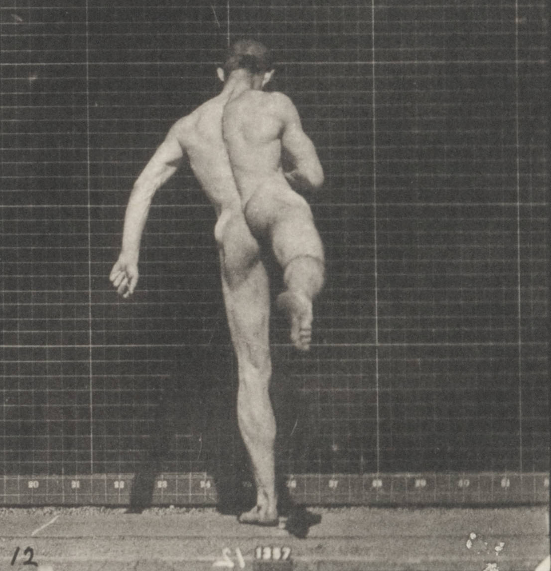 bryan willsey recommends Trans takes bbc diana hersey add nude ballet male photo