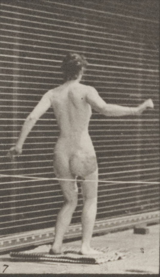 carolynne allaben recommends Little oral andie amiel john add women nude running photo